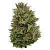Deelish - Pretty Chill Indica thumbnail 1