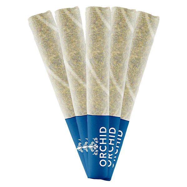 Orchid CBD - Jean Guy Cbd Pre Roll