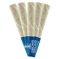 Orchid CBD - Jean Guy Cbd Pre Roll