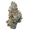 Potluck - Grape Ape thumbnail 1