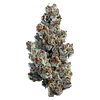 Woody Nelson - Organic Bling Blaow Craft Flower thumbnail 1