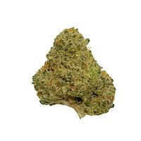 Choklit Park - Hawaiian Snow