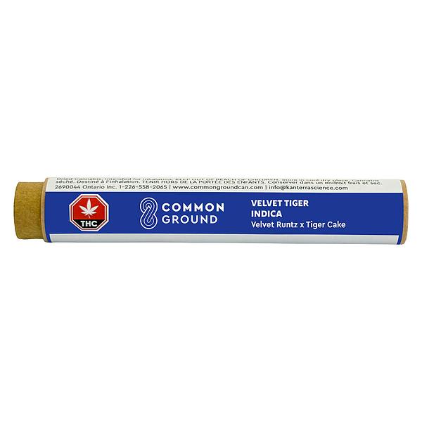 Common Ground - Velvet Tiger Pre Roll