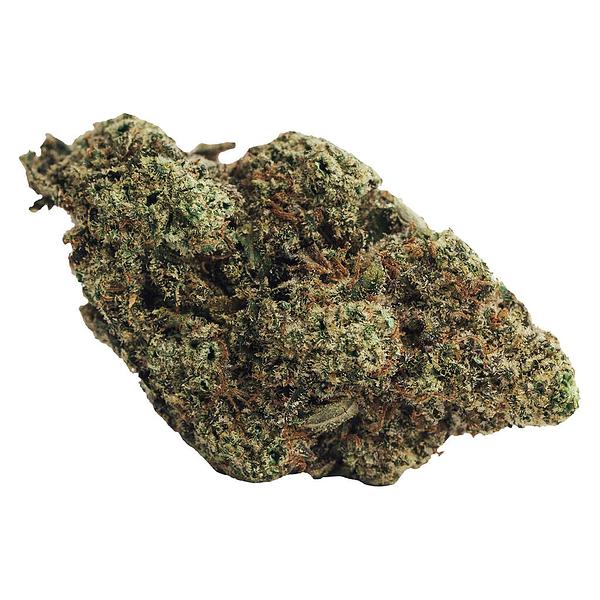 BOLD - Munyunz image 1