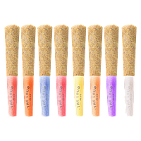 The Loud Plug - Drippyz Ultimate Multipack Infused Pre Roll