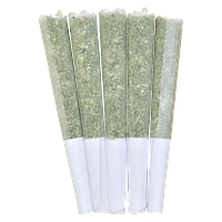 Relaxxx - Frosted Velvet Pre Roll