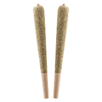 Standard Issue - Blueberry Infused Pre-Roll