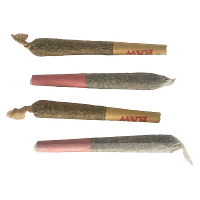 The Oz Store - Naughty Or Nice Pre Roll