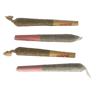 The Oz Store - Naughty Or Nice Pre Roll