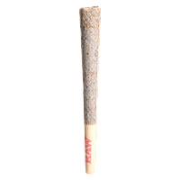 Tenzo - Jokerz Cndy Pre-Roll