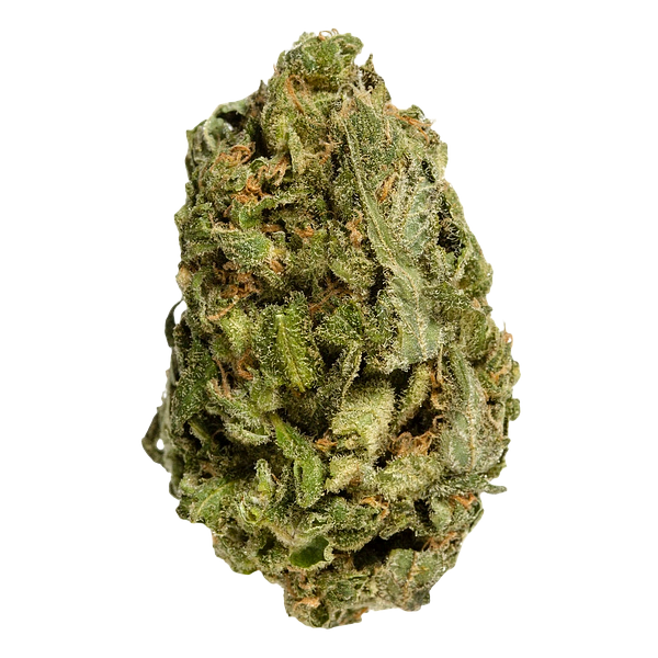 Bake Sale - All Purpose Flower Sativa