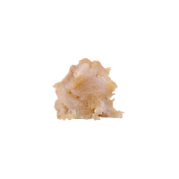 Nugz - Fresh Frozen Hash Rosin