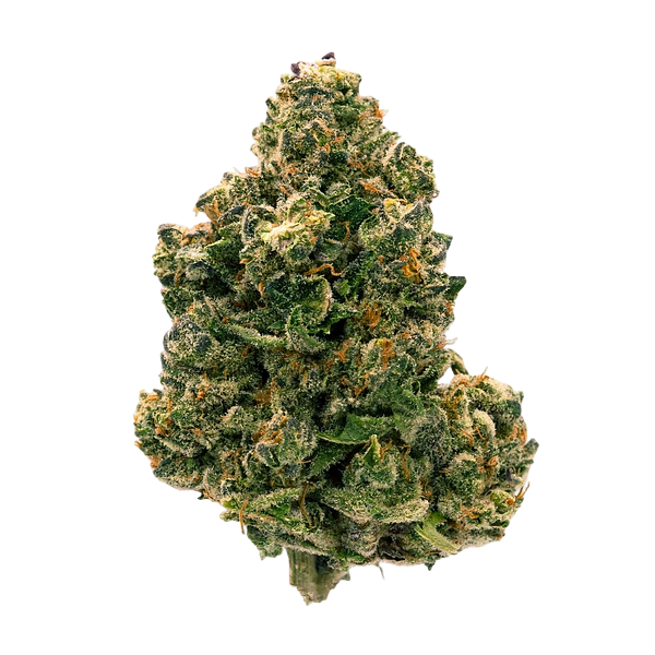 Parcel - Citrus Notes Milled Flower