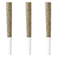 RosinStar - Lil Knockers Infused Pre Roll