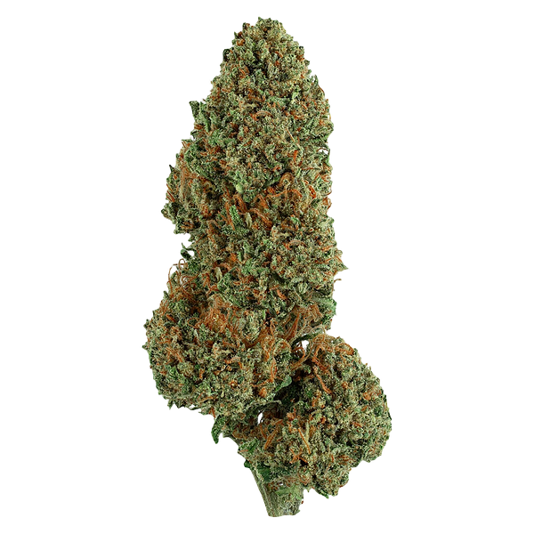 Faded - Diesel Cake