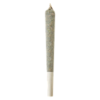 Shed Boys - Sugar Shed Double Infused Pre Roll