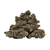 BC OZ - 9LB Hammer