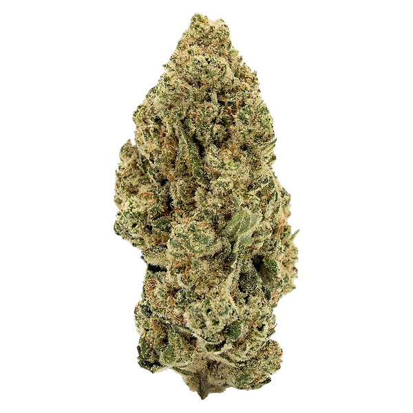 Payless - indica
