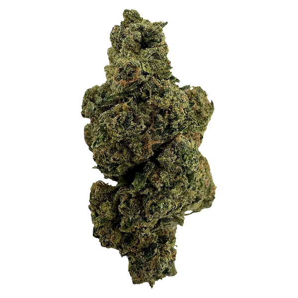 Floor5 - Lavender Chem