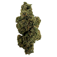 Floor5 - Lavender Chem