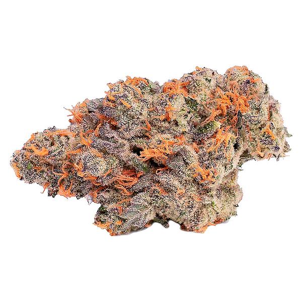 Coterie - Pink Rose #4 image 1