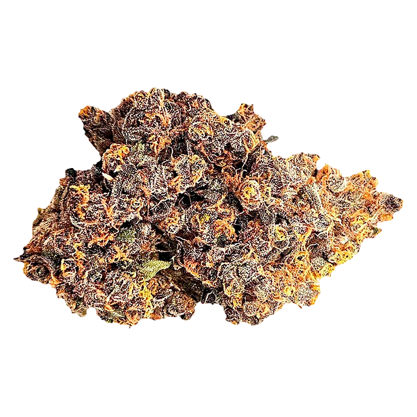 Fern - Mystery Gram Indica