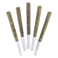 DEALR - Snooze Button Pre Roll