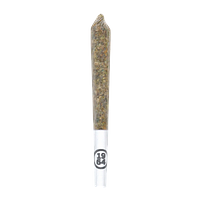 1964 - Heavy Hitter Diamond + Flower Infused Pre Roll