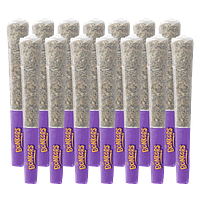 Bonkers - Dream Catcher Pre Roll