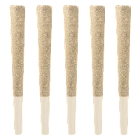 Nomad - Better Than Your Taster Pack Pre Roll