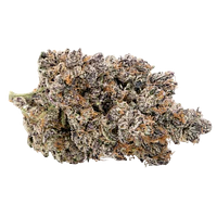 Kootenay Quantum - Dark Matter