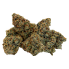 Northern Canna - East Coast Animal thumbnail 1