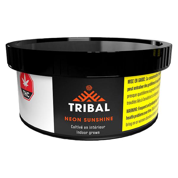 Tribal - Neon Sunshine Hybrid image 2