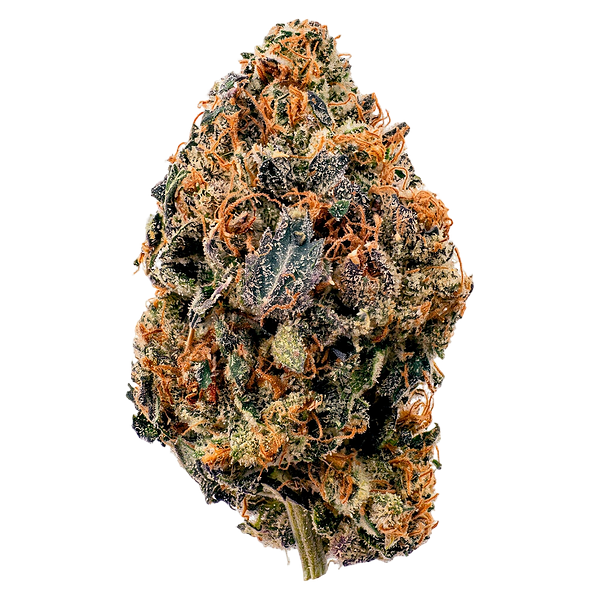 BLK MKT - Rainbow Sherb