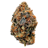 BLK MKT - Rainbow Sherb