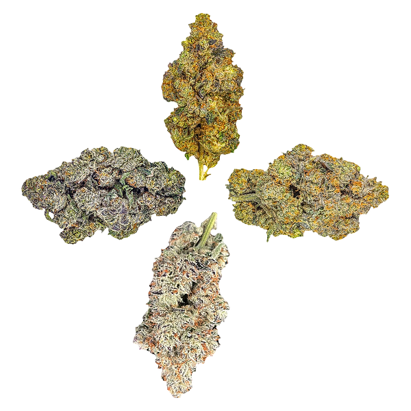 HighXotic - Royal Collection: The Quartet
