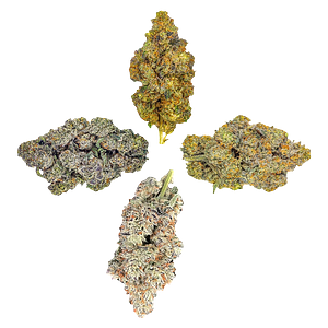 HighXotic - Royal Collection: The Quartet