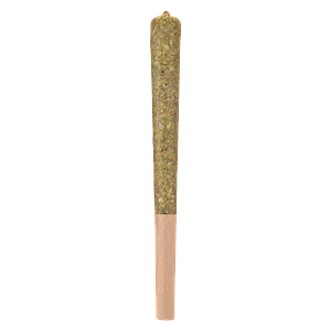 Woody Nelson - Sunset Sherbet Infused Pre Roll