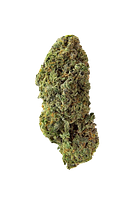 Homestead - Bandwagon Sativa