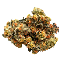 Ritual Green - Super Sativa