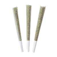 Choklit Park - Blueberry Yum Yum Pre Roll
