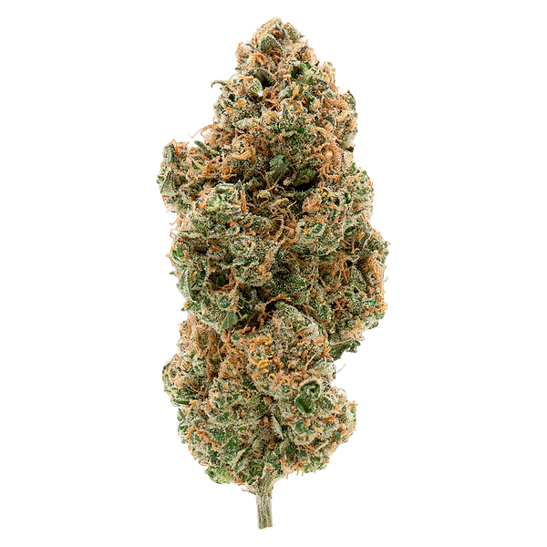 Simply Bare - BC Organic Tangerine Sunrise