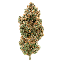 Simply Bare - BC Organic Tangerine Sunrise