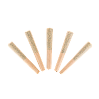 Choklit Park - Jamaican Pearl Pre Roll