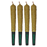 Coterie - Double Infused Sour Apple Pre Roll