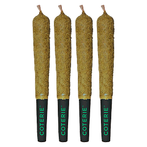 Coterie - Double Infused Sour Apple Pre Roll