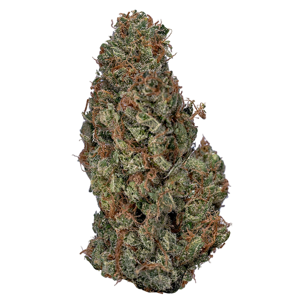 Value Buds - Sativa