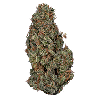 Value Buds - Sativa