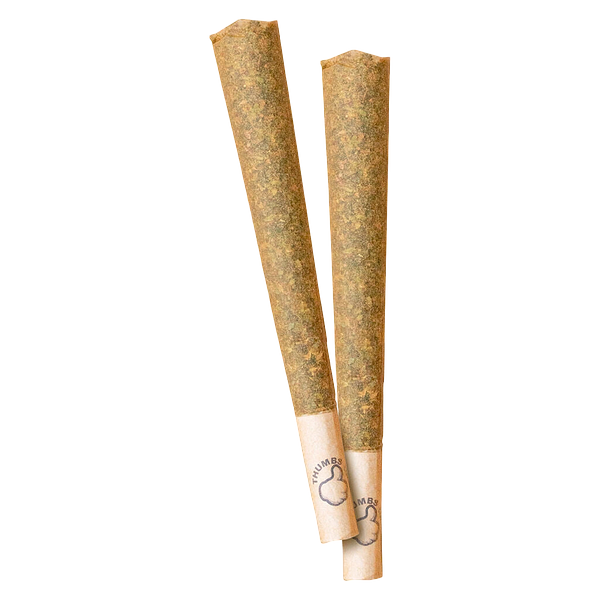 Thumbs Up - Hybrid Pre Roll