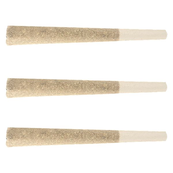 Seeker - Fool's Gold Pre Roll